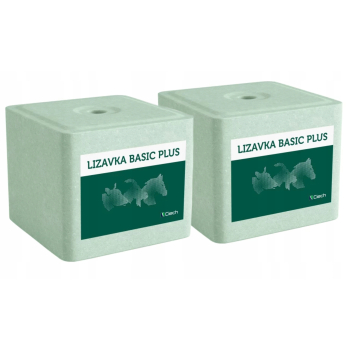 Lizawka solna BASIC 2x10kg